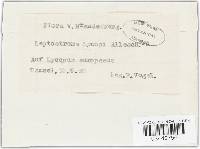 Leptostroma lycopi image