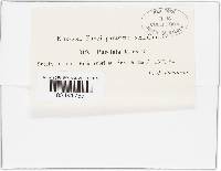 Image Associated With the Occurrence