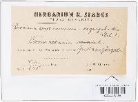 Image Associated With the Occurrence