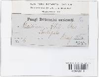 Image Associated With the Occurrence