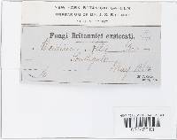 Image Associated With the Occurrence