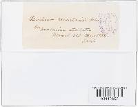 Image Associated With the Occurrence