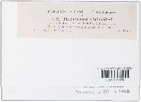 Image Associated With the Occurrence