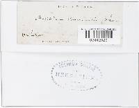 Image Associated With the Occurrence