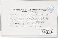 Image Associated With the Occurrence