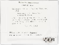 Thumbnail image of current specimen