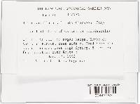 Thumbnail image of current specimen