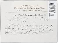 Image Associated With the Occurrence