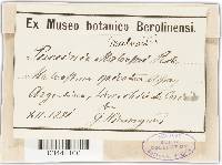 Image Associated With the Occurrence