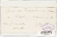 Image Associated With the Occurrence