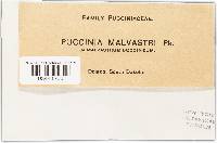 Image Associated With the Occurrence