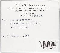 Image Associated With the Occurrence