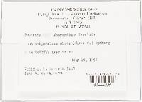 Image Associated With the Occurrence