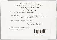 Image Associated With the Occurrence