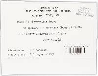 Image Associated With the Occurrence