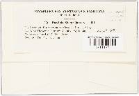 Image Associated With the Occurrence