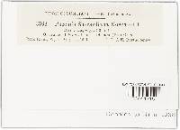 Image Associated With the Occurrence