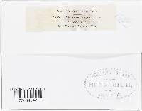 Puccinia sorghi image