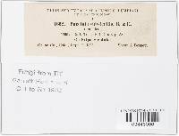 Image Associated With the Occurrence