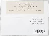 Image Associated With the Occurrence