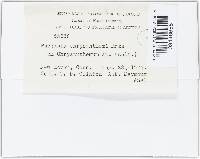 Image Associated With the Occurrence