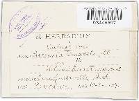 Image Associated With the Occurrence