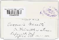 Image Associated With the Occurrence