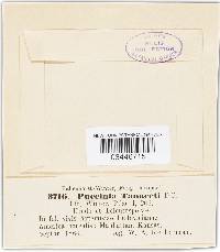 Image Associated With the Occurrence