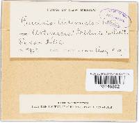 Image Associated With the Occurrence