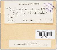 Image Associated With the Occurrence