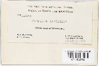 Image Associated With the Occurrence