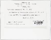 Image Associated With the Occurrence