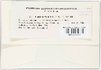 Image Associated With the Occurrence