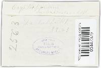 Media resource of Cryptosporium hysterioides