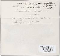 Image Associated With the Occurrence