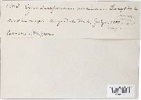 Image Associated With the Occurrence