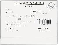 Image Associated With the Occurrence