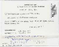 Thumbnail image of current specimen