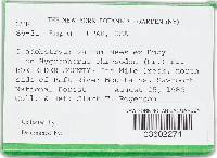 Hypomyces aurantius image