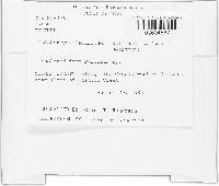 Image Associated With the Occurrence