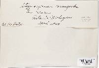 Image Associated With the Occurrence