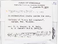 Image Associated With the Occurrence