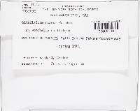 Image Associated With the Occurrence