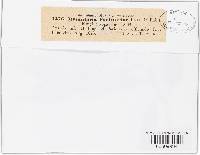 Thumbnail image of current specimen