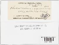 Image Associated With the Occurrence