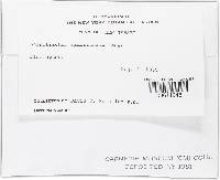 Image Associated With the Occurrence