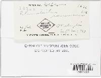 Image Associated With the Occurrence