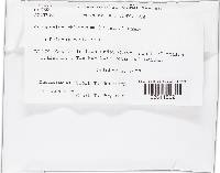 Image Associated With the Occurrence