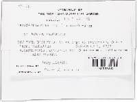 Image Associated With the Occurrence