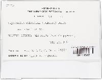 Image Associated With the Occurrence